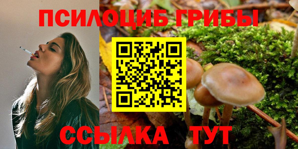 Майкоп  Псилоцибиновые грибы Cubensis  Псилоцибиновые грибы прущие грибы  как найти закладки  Вход с VPN 